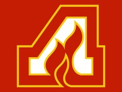Atlanta Flames NHL Hockey Embroidered Adult T-Shirt S-6XL, LT-4XLT Calgary New
