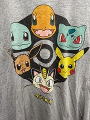Pokemon Pikachu Squirtle Charmander Bulbasaur Eevee Meowth Poke Ball Shirt 2XL?