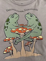 Feelings Come , Feelings Go Rare Shirt Tshirt Large Size Shirt USA Seller