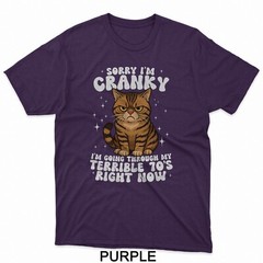 Sorry I’m Cranky I’m Going Through My Terrible 70’s Cat T-Shirt