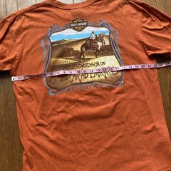 Harley Davidson Dubai UAE Bad To The Chrome Rare Orange XL