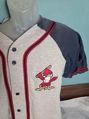Vintage Baseball Jersey Badger Sport Made USA Size XL #19 Cardinals Sluggerbird