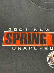 VTG Majestic Faded MLB Baseball Spring Training Mets XL Shirt USA Made DISTRESS