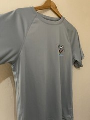 Disney Blizzard Beach Sports Activewear Gym T-Shirt S Grey Logos Good Condition