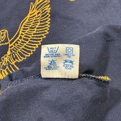 Vintage 1970s Champion Reversible T-Shirt Double Face Medium RidgeWood Eagles