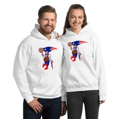 Boston New England Sports Teams Hoodie Unisex Patriots Bruins Red Sox Sweatshirt