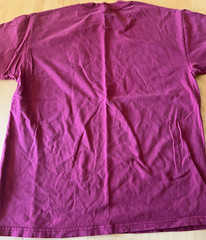 HANES 1998 DOOR COUNTY ENTURY EMBROIDERED BIKE BURGANDY T SHIRT SZ L