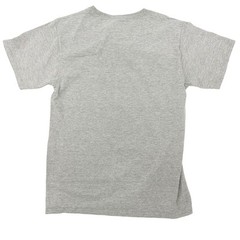 two Champion tees navy blue & gray T-shirts men’s SMALL athletic wear casual