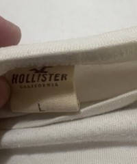 (2) LOT Hollister Must Have Collection Shirt Large Colorblock Script Spellout