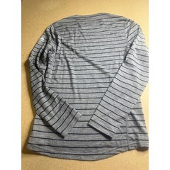 Icebreaker Merino Bodyfit 200 Mens Small Grey Striped Long Sleeve Base Layer Top