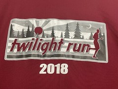 Alleson Athletic Portland Twilight Run shirt adult XL short sleeve burgundy red