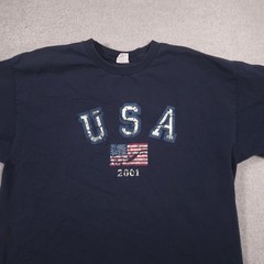 Vintage Arizona Jean Co Shirt Mens XL Blue USA Flag 2001 Patriotic Graphic Tee
