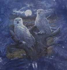 1990’s Vintage T Shirt The Mountain Tie Dye Owls Moonlight Nature 1999 XL