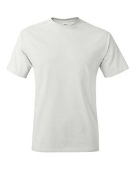 Hanes Unisex Authentic T-Shirt