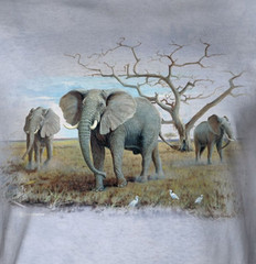 Three African Elephants – Adult Unisex T-Shirt