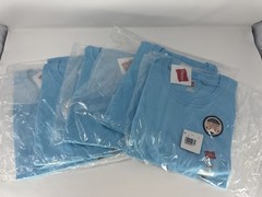 Lot of 5 Hanes Essentials Men’s T-Shirts Small S Blue Horizon Cotton Crew Neck