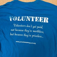 Gildan Heavy Cotton Priceless Pets Rescue Volunteer T-Shirt Blue Size L
