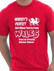 Proud To Be Welsh Wales Cymru Gift Mens T-shirt Size S-XXL