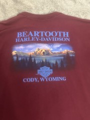Vintage 2000’s harley davidson wyoming tee shirt size 2xl