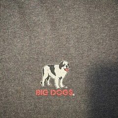 Big Dogs Shirt “Can You Shift Gears Or Are You Stuck In Stupid” Gray T Shirt XL