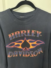 Harley Davidson Long Sleeve Shirt Mens Large New Orleans Louisiana Eagle Flame