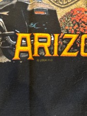 Vintage Harley Davidson Y2K Chandler Arizona T-Shirt Sz L