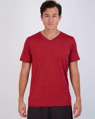 5 Pack: Men’s V-Neck Dry-Fit Moisture Wicking Active Athletic Tech Performanc…