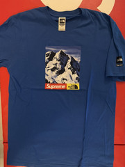 Supreme x The North Face Mountain Tee