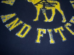 Abercrombie & Fitch Mens Muscle Fit T-Shirt Navy Yellow Logo LARGE Moose sz XXL