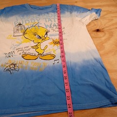 Looney Tunes Tweety Bird Graphic T-Shirt Size Small S Blue White Tie Dye Tee
