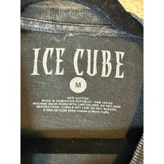 Ice Cube Mens Graphic T-Shirt Charcoal Mineral Wash Hip Hop Streetwear Tee M