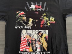 Damian Marley And Stephen Marley KCRW Festival Jam Rock 2024 Hollywood Bowl 8/4