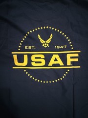 United States Air Force “USAF EST 1947” Military Logo Black T Shirt Tee – Sz L