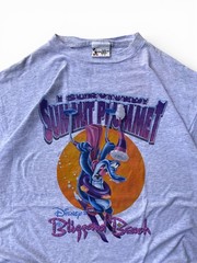 Rare Disney Blizzard Beach Doublesided