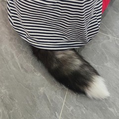 Fluffy Fox Tail Fur Keychain Therian Cosplay Handbag Tassel Hook Accessories …