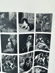 Uniqlo UTGP Louvre Museum Dog Art Graphic Tee White Size L | Paws of the Louvre