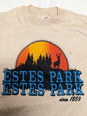NEVER USED DEAD STOCK VINTAGE 70’S HANES SINGLE STITCH T SHIRT S USA MADE BEIGE