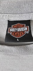 Vintage Harley Davidson T-shirt 2005 Y2K Size L Gray Pinup TIMELESS Chandler AZ