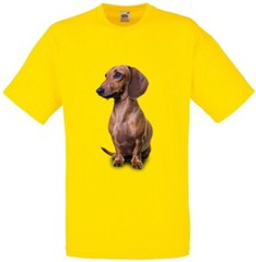 Brown Dachshund Dog Pet Friend Family Novelty T Shirt Various Colours And Sizes