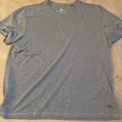 Tommy Bahama Men’s Lot of 2 Solid Knit T-Shirts L/G Blue V-Neck Green Crew
