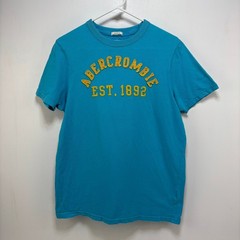 Vintage Abercrombie Muscle Fit Blue Tshirt Men’s Size L Embroidered Y2k