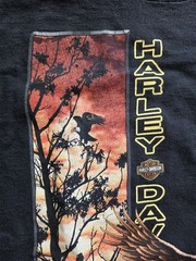 Vintage Harley-Davidson Birmingham Alabama Graphic Print Pocket T-shirt SZ XL