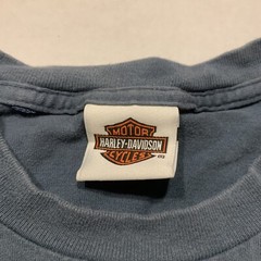 Hillbilly Harley Davison T Shirt Missing Tag M-L Gatlinburg TN 2012 20” X 28”
