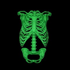 Y2K Neon Green Skeleton Ribcage Glow In The Dark Graphic T-Shirt Size XL