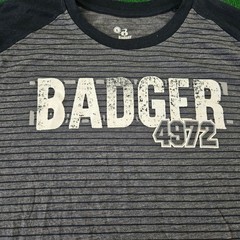Badger Sport 4972 Graphic T Shirt Mens Large Raglan Short Sleeve Striped Gray