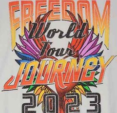 Journey Concert Shirt Mens 2XL XXL Gray Rock Tour Music Casual Distressed NWT