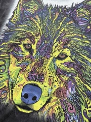 The Mountain Tie Dye Wolf T Shirt Medium Colorado Wildlife Psychedelic USA Y2K