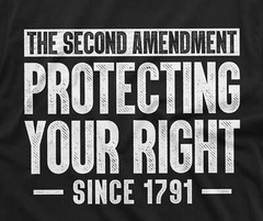2nd Amendment protecting your rights since 1791 T-shirt second gun rights tee