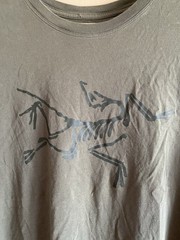 Arc’teryx Archaeopteryx T-Shirt Men Large Olive Green Logo Graphic Tee Gorpcore