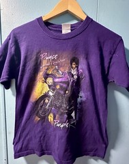Prince And The Revolution Purple Rain T Shirt Youth Medium